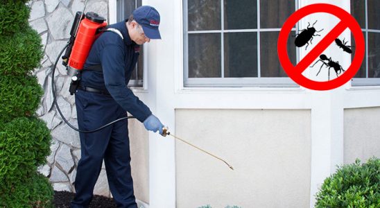 Kovancılar Gümüşkurt İlaçlama böcek ilaçlama ve haşere kontrolü — ilaclama-tr.com